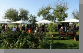 DSC08893.jpg