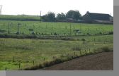 DSC08944.jpg