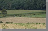 DSC08948.jpg