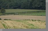 DSC08949.jpg
