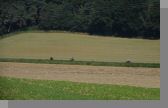 DSC08951.jpg