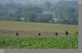DSC08967.jpg