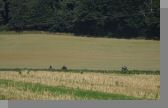 DSC08969.jpg