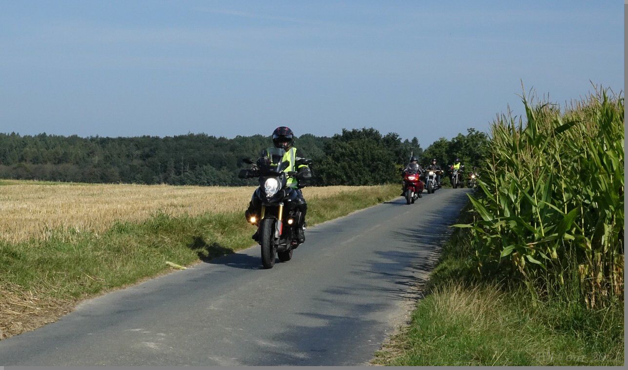 DSC08972.jpg