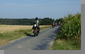 DSC08972.jpg