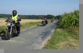 DSC08974.jpg