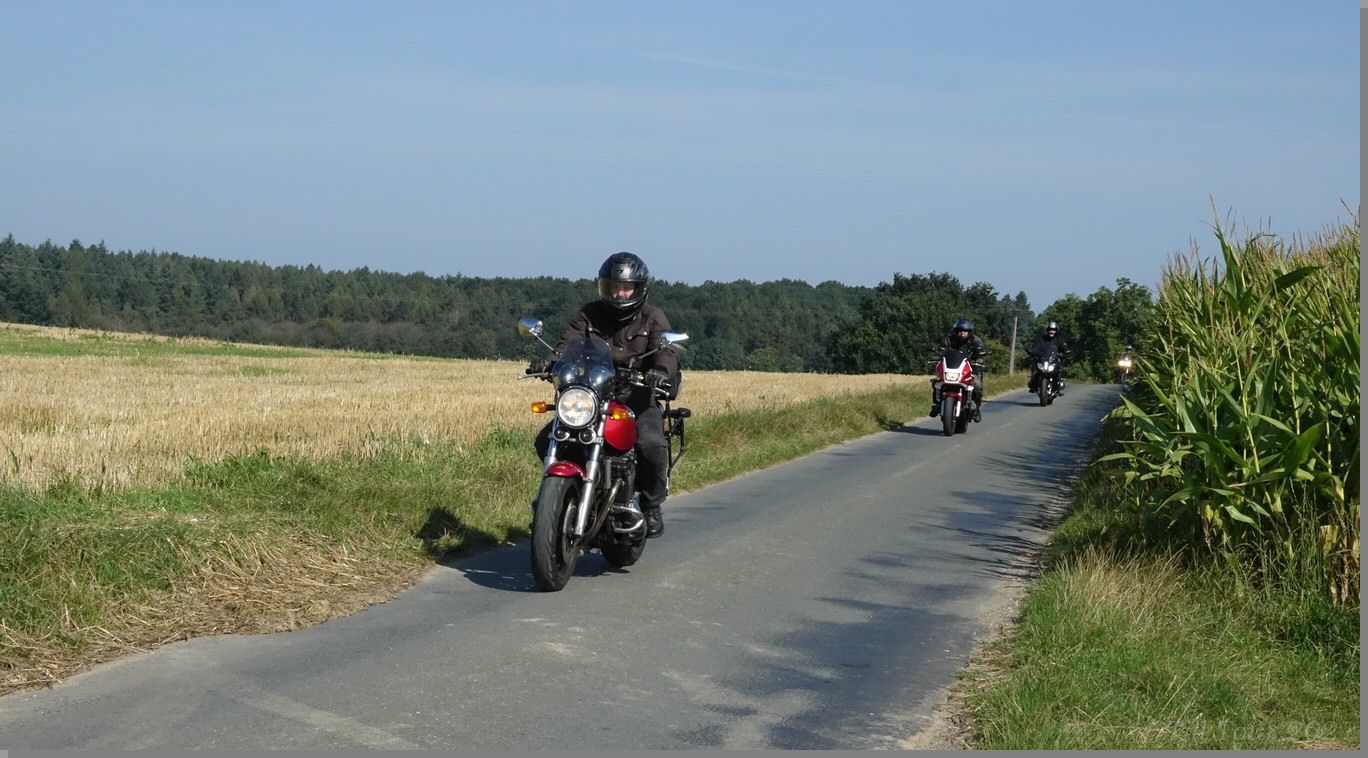 DSC08975.jpg