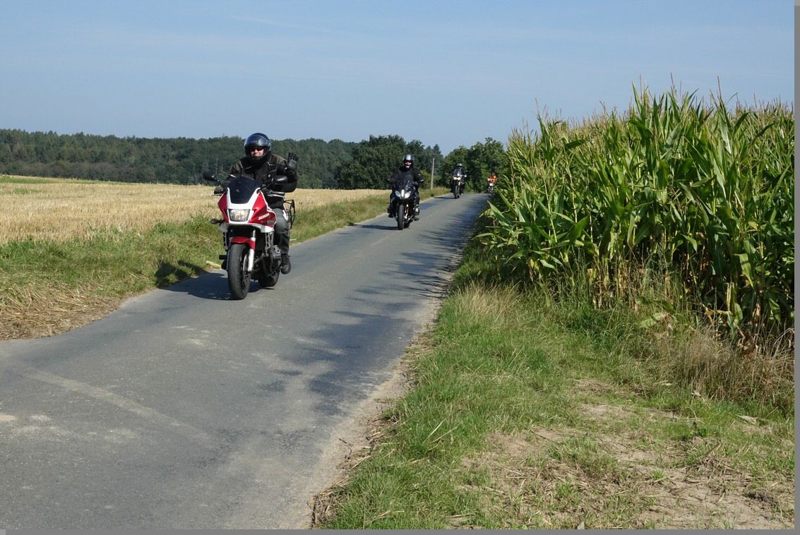 DSC08976.jpg