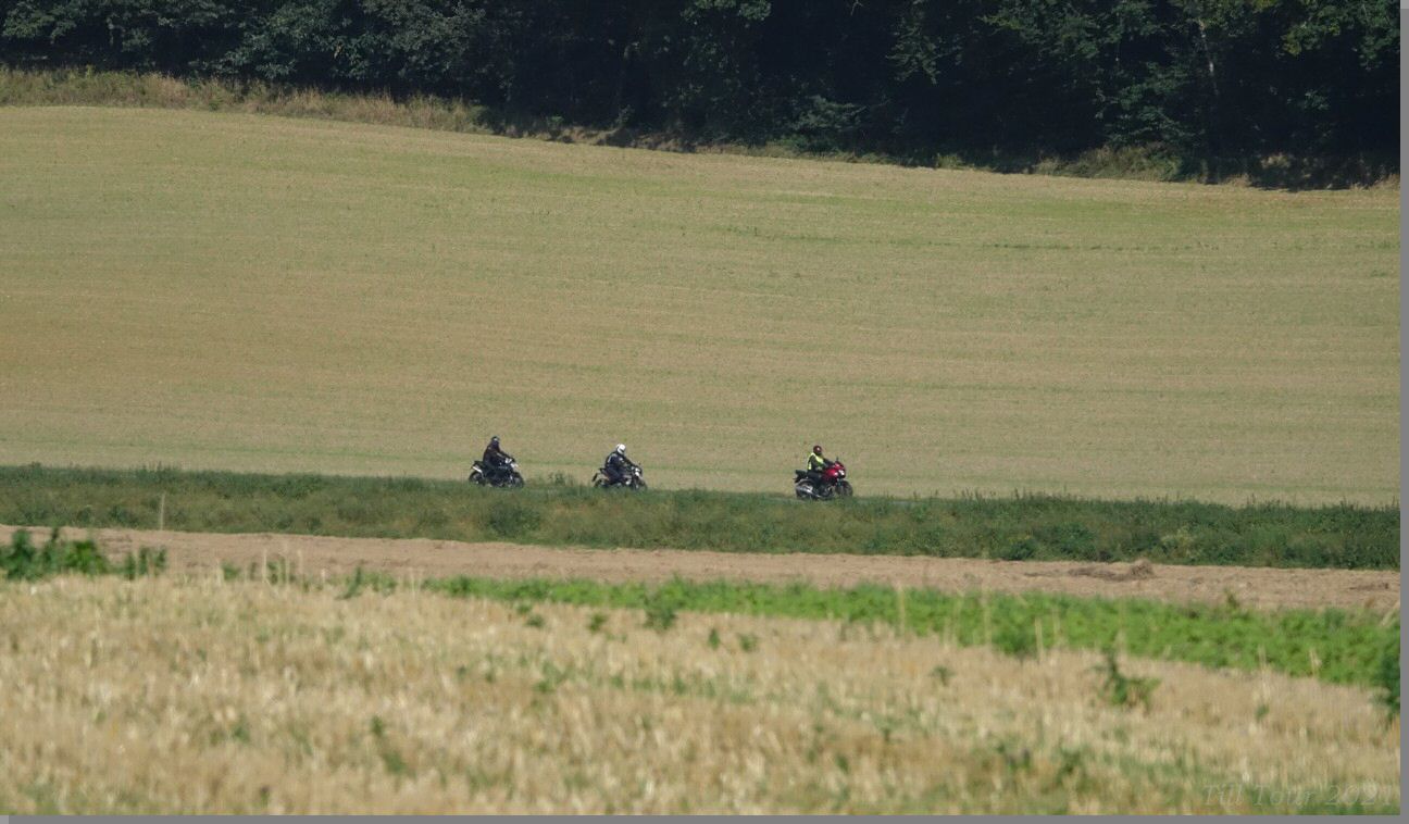 DSC08982.jpg