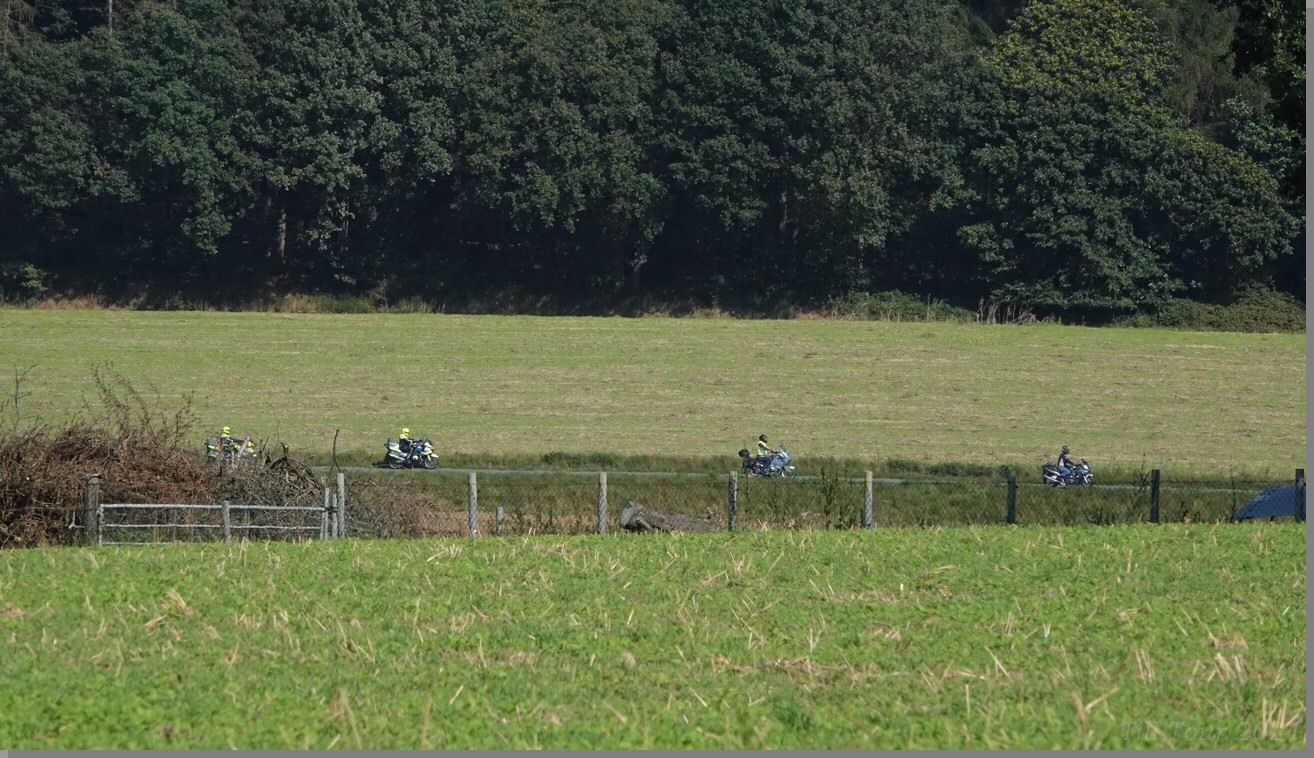 DSC08984.jpg