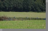 DSC08984.jpg