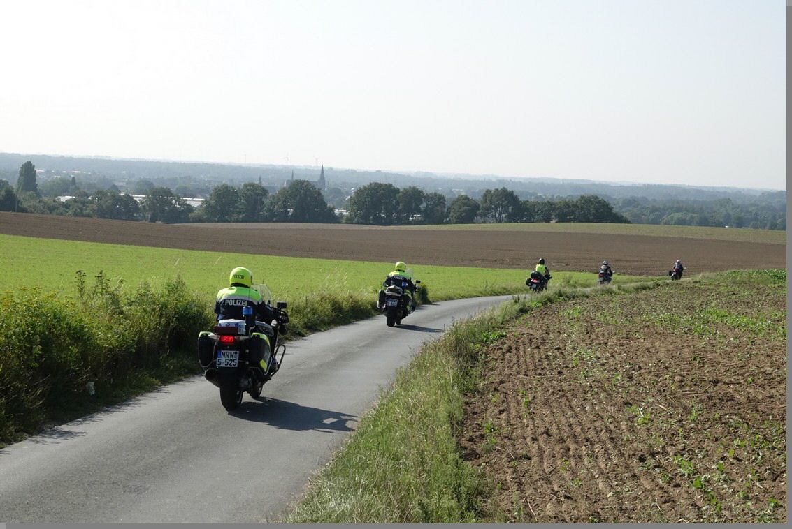 DSC08992.jpg
