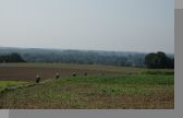 DSC08993.jpg
