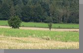 DSC08998.jpg