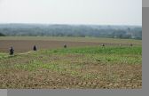 DSC09005.jpg