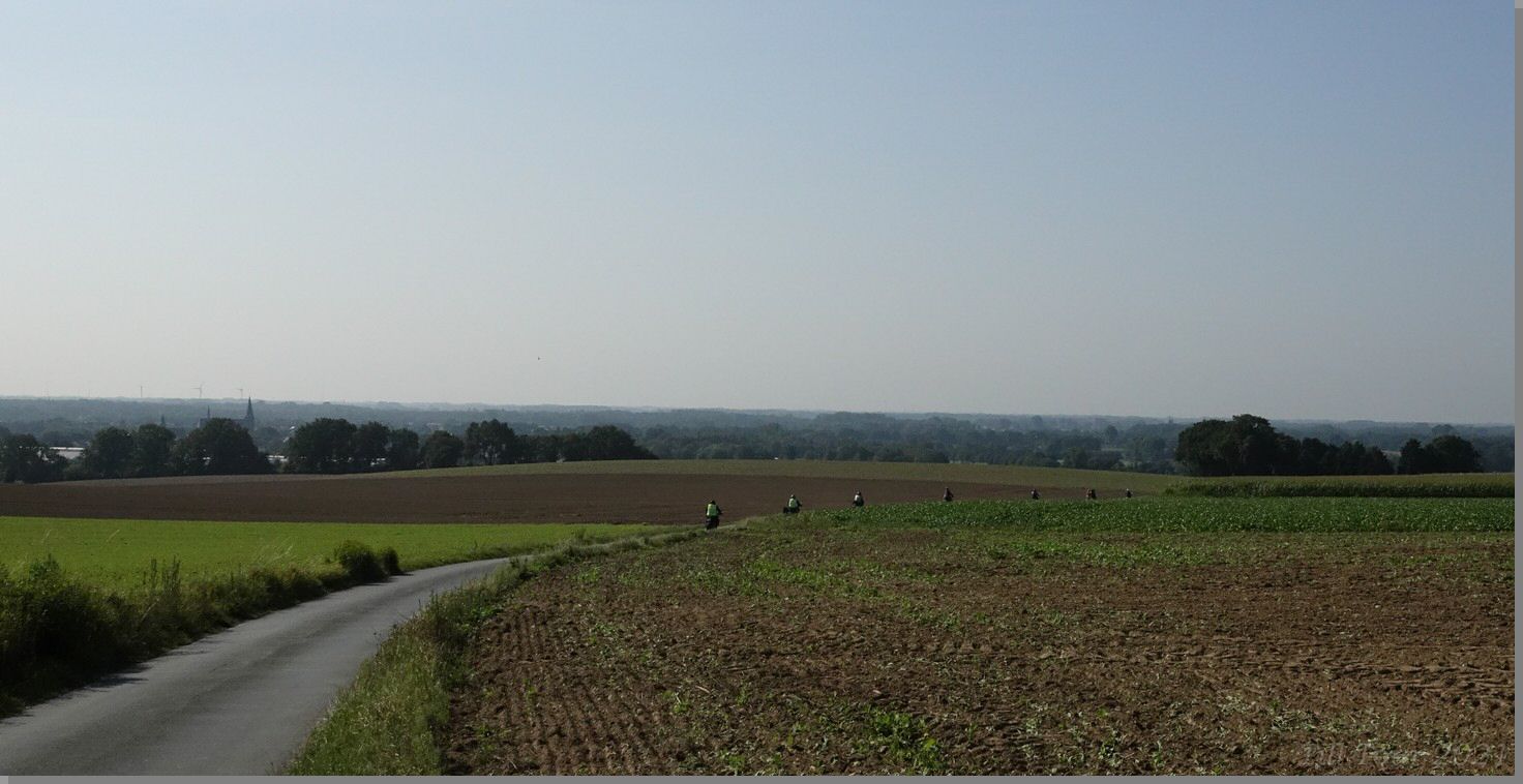 DSC09007.jpg