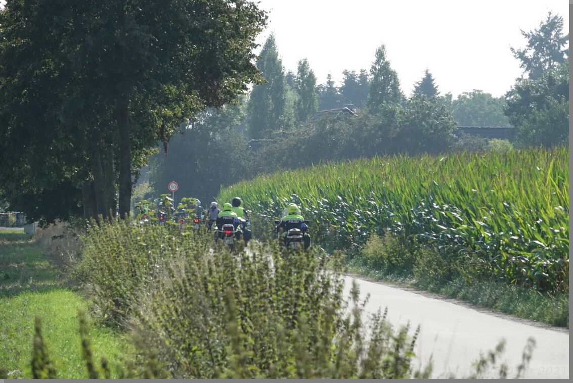 DSC09008.jpg