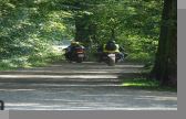 DSC09031.jpg