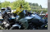 DSC09064.jpg