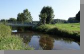 DSC09086.jpg