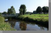 DSC09091.jpg