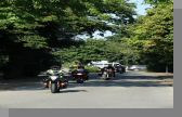 DSC09131.jpg